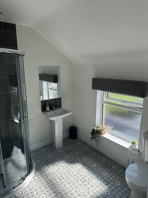 Westland - Stylish, Modern, Elegant, *